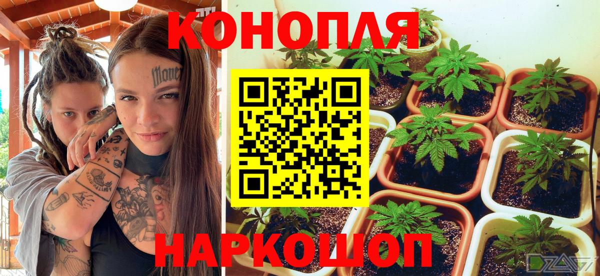 МАРИХУАНА индика Фрязино
